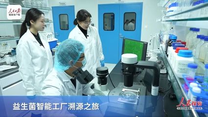 解碼中國益生菌“芯片”制造全流程——走進澳優錦旗生物探索生物制劑研發